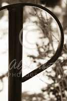 Alphabet Photography Letter P