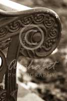 Alphabet Photography Letter P