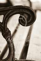 Alphabet Photography Letter R