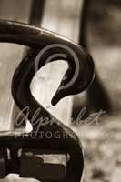 Alphabet Photography Letter S