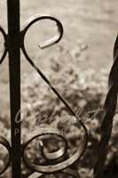 Alphabet Photography Letter S