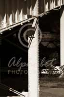 Alphabet Photography Letter T