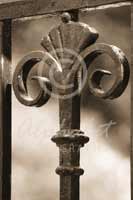 Alphabet Photography Letter T