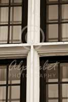 Alphabet Photography Letter T
