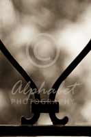 Alphabet Photography Letter V