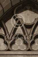 Alphabet Photography Letter W