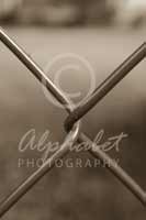 Alphabet Photography Letter X