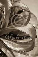 Alphabet Photography Letter B                                          