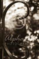 Alphabet Photography Letter C