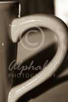 Alphabet Photography Letter D