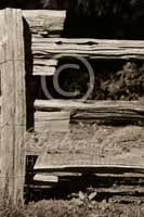 Alphabet Photography Letter E