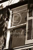 Alphabet Photography Letter F