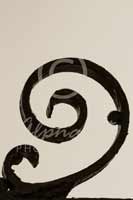 Alphabet Photography Letter G