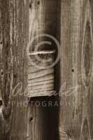 Alphabet Photography Letter H