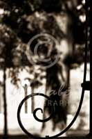 Alphabet Photography Letter J