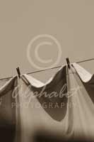 Alphabet Photography Letter M
