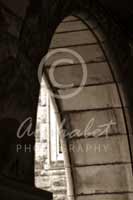 Alphabet Photography Letter N