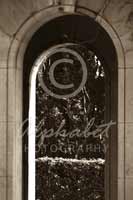 Alphabet Photography Letter N