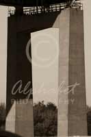 Alphabet Photography Letter N