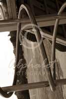 Alphabet Photography Letter N