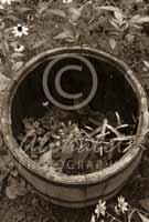 Alphabet Photography Letter O