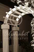 Alphabet Photography Letter R