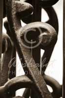 Alphabet Photography Letter R                                          
