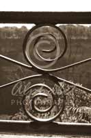 Alphabet Photography Letter S