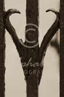 Alphabet Photography Letter V