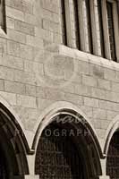 Alphabet Photography Letter W