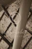 Alphabet Photography Letter Y
