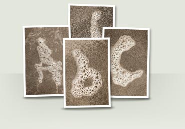 Seafoam Letters